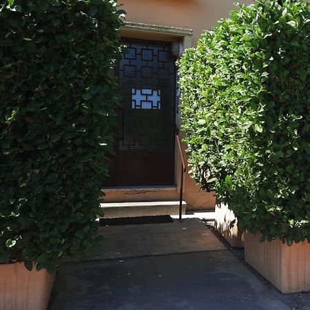 דירות מונפלייה Charmant Logement Climatise Proche Centre Et Plage מראה חיצוני תמונה